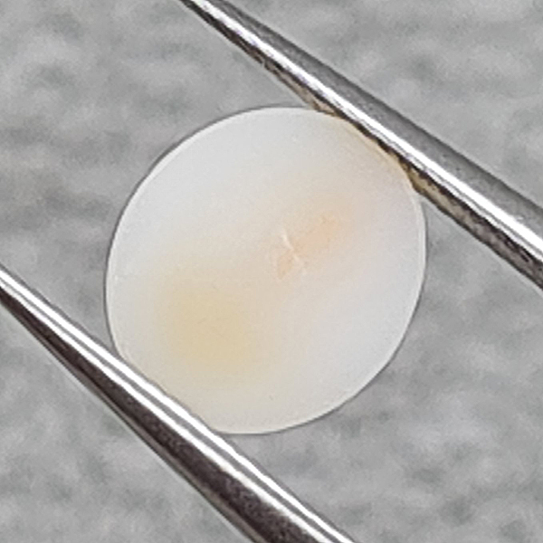 Белые кораллы 4.52ct пара