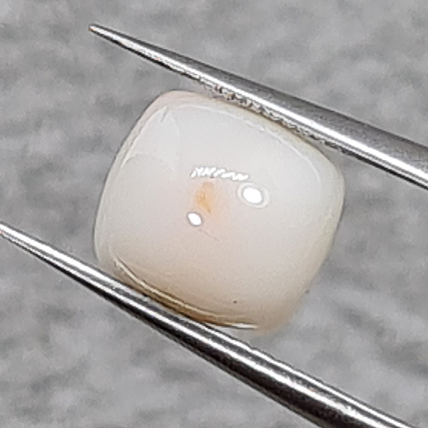 Белый коралл 2.80ct