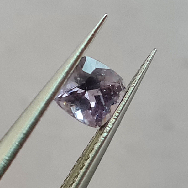 SP00303