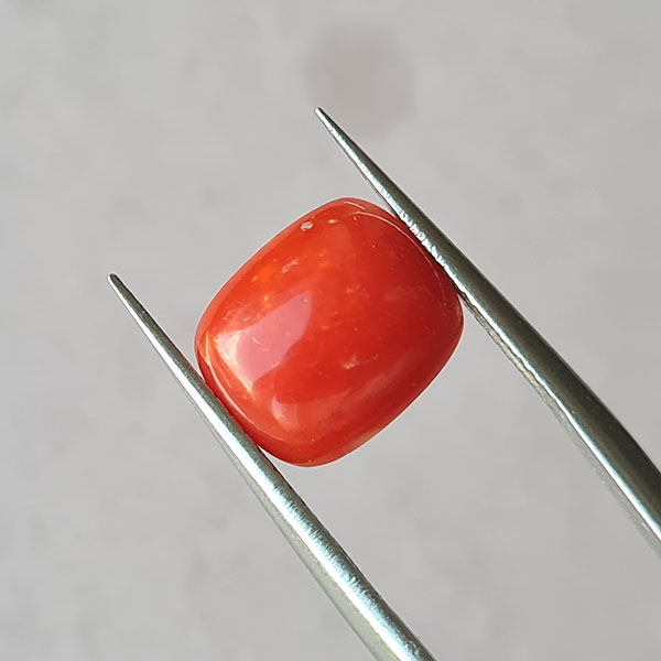 Красный коралл 2.62ct