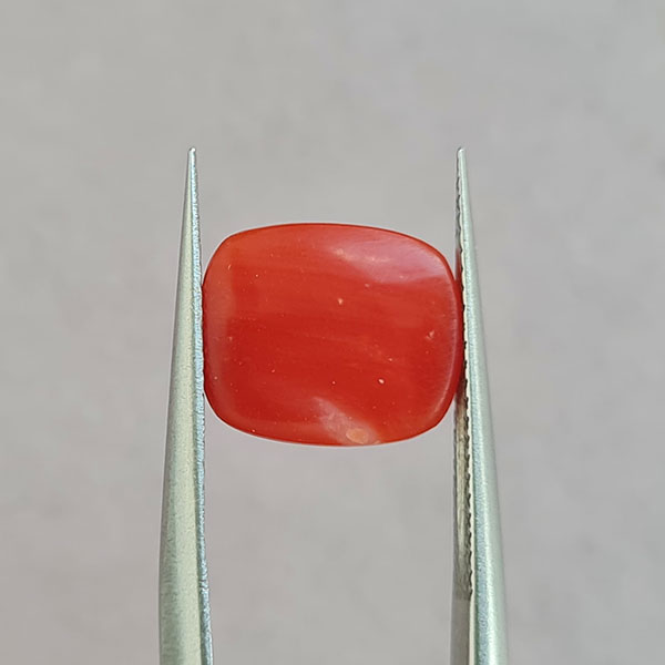 Красный коралл 2.62ct
