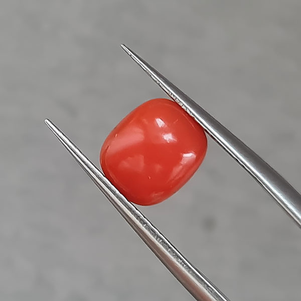 Красный коралл 1.72ct