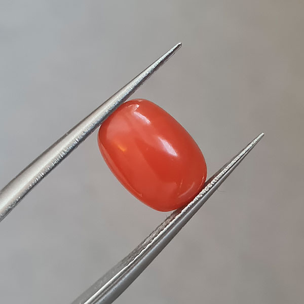 Красный коралл 2.11ct