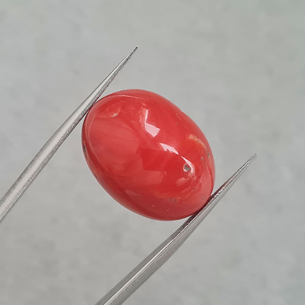 Красный коралл 19.55ct