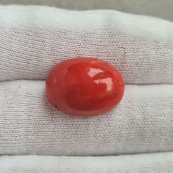 Красный коралл 19.55ct