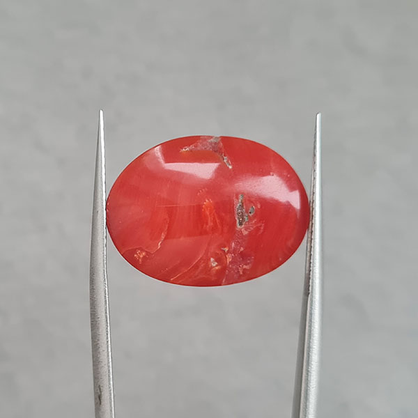 Красный коралл 19.55ct
