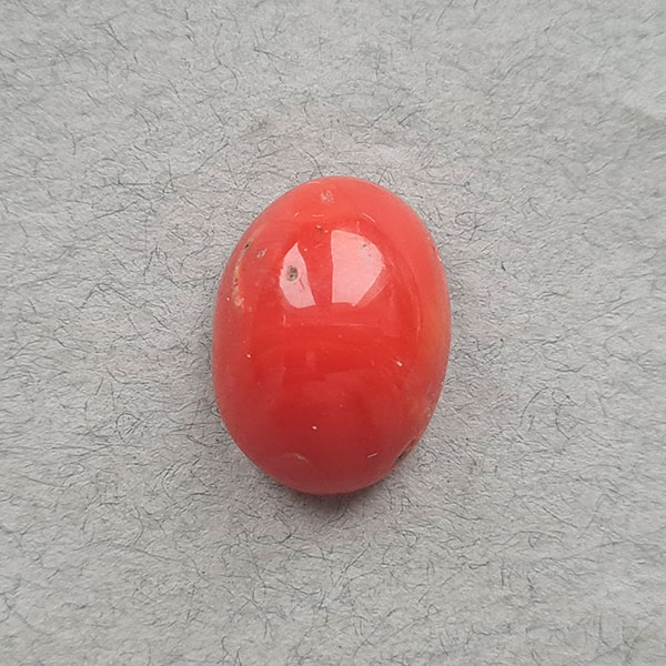 Красный коралл 19.55ct