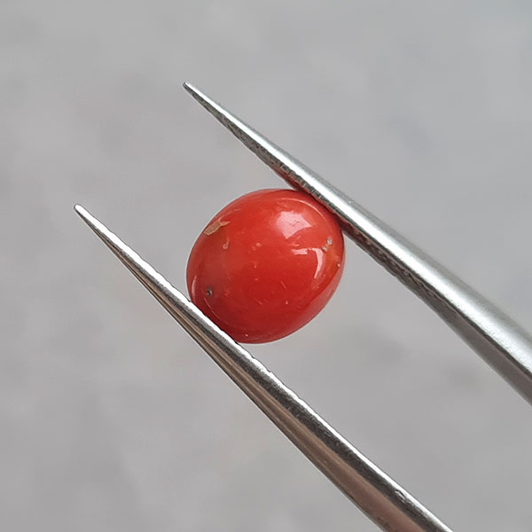 Красный коралл 1.20ct